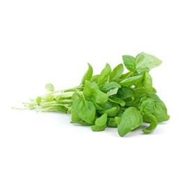 [90000624] ALBAHACA X ATADO