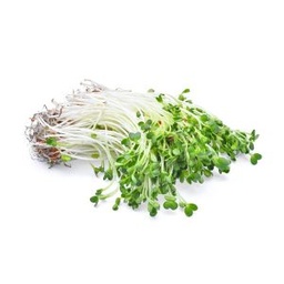 [A016] BROTES DE ALFALFA X BANDEJA