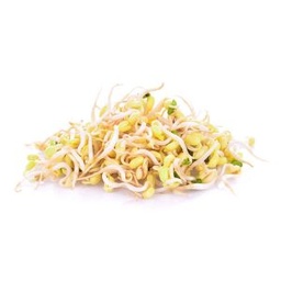 [90001069] BROTES DE SOJA X BANDEJA