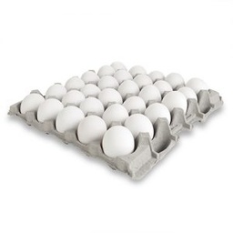 [AA101] HUEVOS X PLANCHA