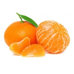 [92001789] MANDARINAS