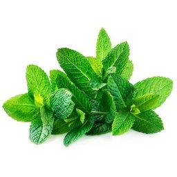 [A057] MENTA X AT.