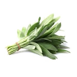 [90000647] SALVIA X AT.