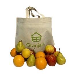 Bolson Frutal